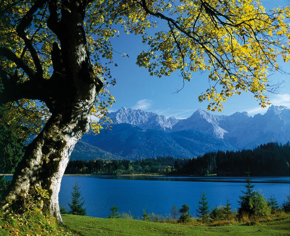 Appartementhaus Alpenrose Wallgau Exteriér fotografie